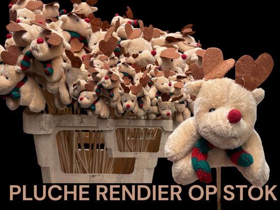 HUIS EN TUINDECO H% HUIS EN TUINDECO ,cena par 1 gb.