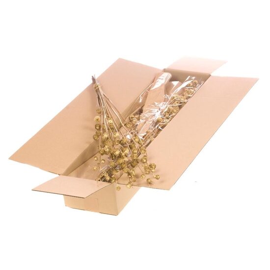 HUIS EN TUINDECO H% Calicarpa Sb Gol/1 gb. bunte