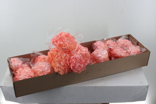 1 gb. HYDR OV KLB H% Hydr Preserved Cotton Premium