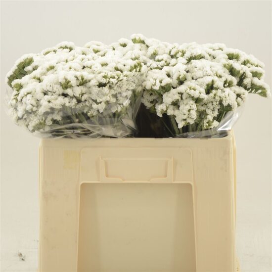 LIM S SILV SUN BIRDS,cena par 1 gb zaru, bildē ir 100 gb