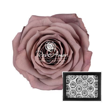 Komplekts 18 gb. R GR OV KLB H% Pres Xs Cho89