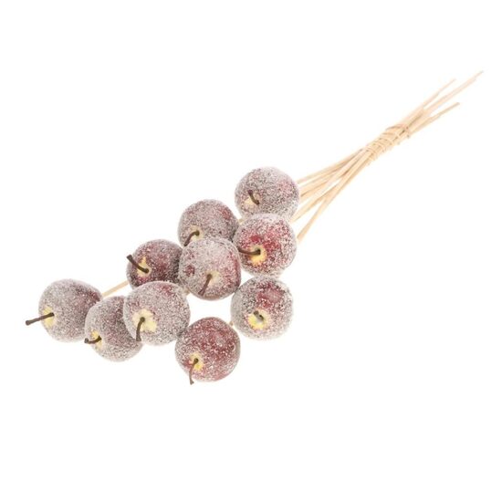 HUIS EN TUINDECO H% Apple 5cm O/s Red + Snw