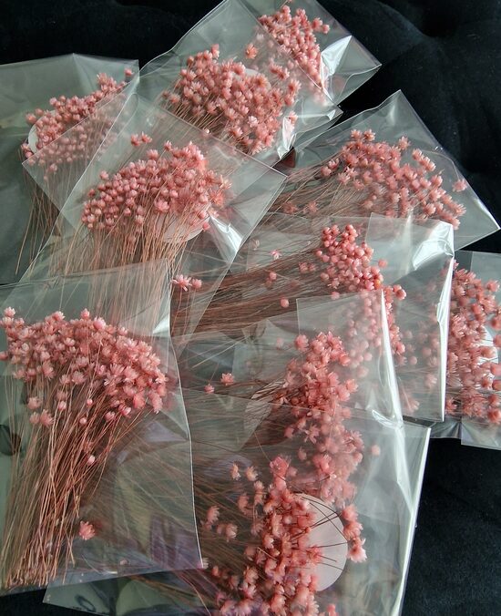 Glixia pink, cena par 1 gb. paku