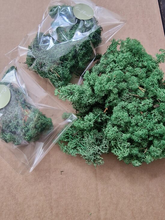 Sūnas zaļas, maza paciņa xxs