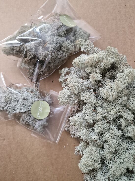 Sūnas naturālas stabilizētas, maza paciņa xxs