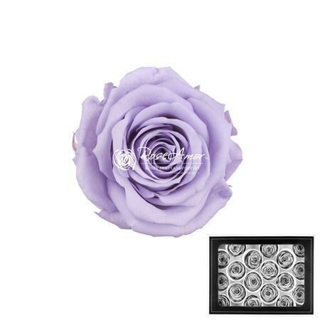 Komplekts 18 gb.  R GR OV KLB H% Pres Xs Vio03