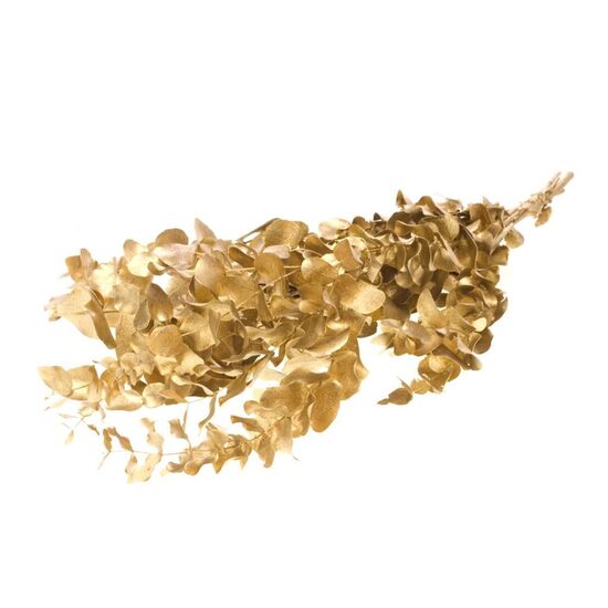 EUCA GLOBU KLB H% Eucalyptus Esp Pres Gold