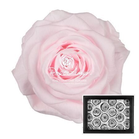 Komplekts 18 gb. R GR OV KLB H% Pres Xs Pin89