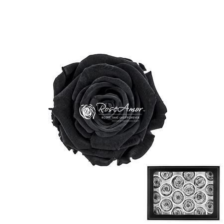 Komplekts 18 gb.  R GR OV KLB H% Pres Xs Bla01