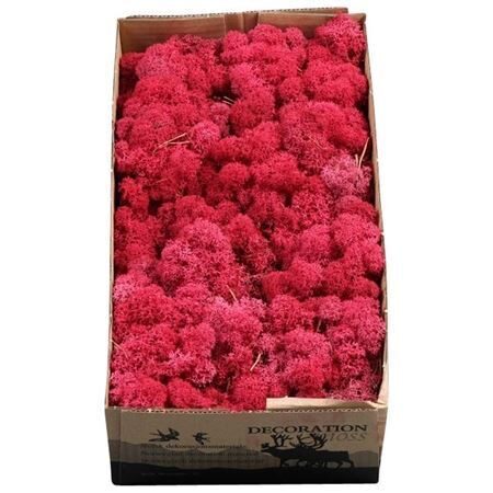 MOSSEN OV H% Ijslandmos (reindeer) Crims