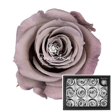 Kompl. 12 .gb R GR OV KLB H% Pres M Cho89