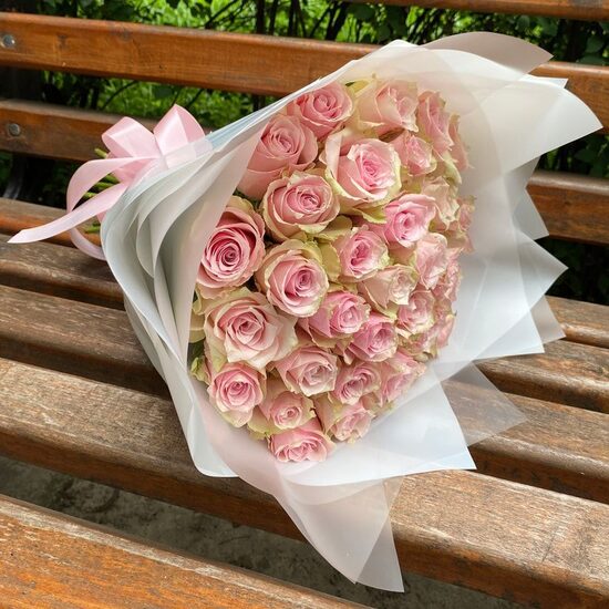 31 gn pink athena