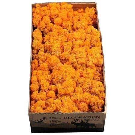 MOSSEN OV H% Ijslandmos (reindeer) hot or