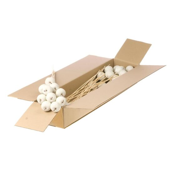  HUIS EN TUINDECO H% Apple Sug 5cm O/s Sb Whit/1 gb. bunte