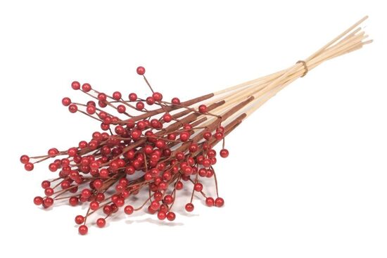 HUIS EN TUINDECO H% Ilex Berry O/s 10pc Red Spring