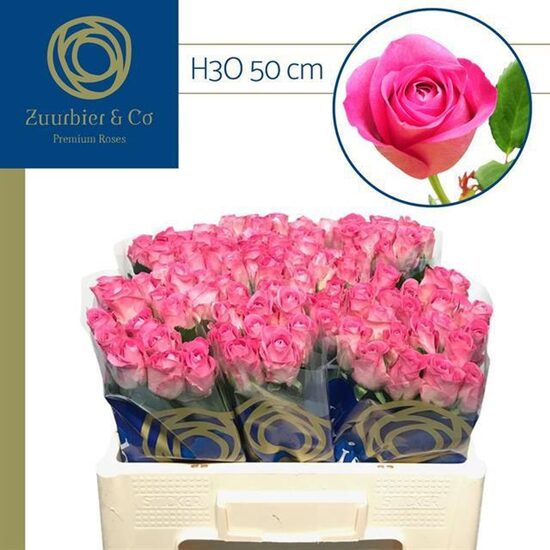  R GR H3O 60 cm, cena par 1 gb