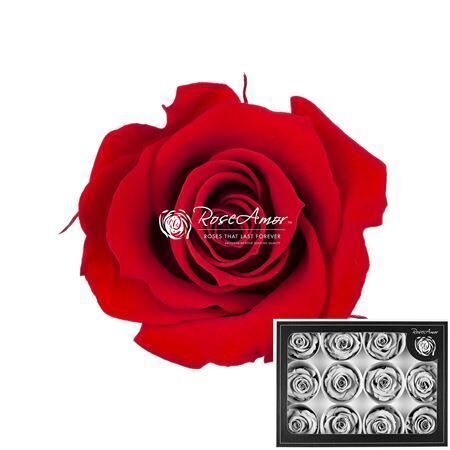 Kompl. 12 gb. R GR OV KLB H% Pres M Red02