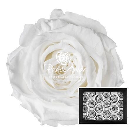 Komplekts 18 gb. R GR OV KLB H% Pres Xs Whi01