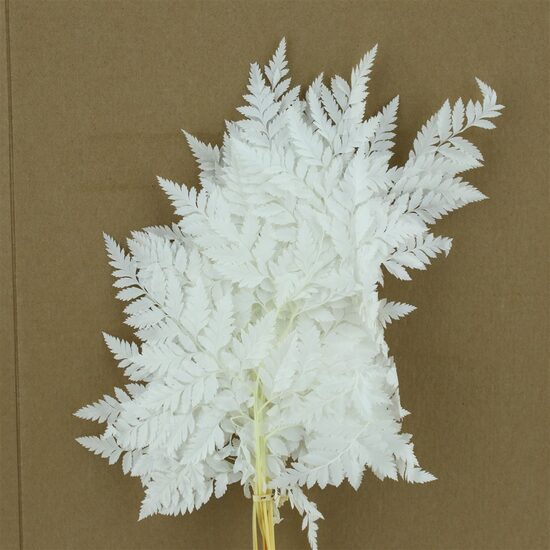  DROOGBL BEWERKT H% 39 leder wh