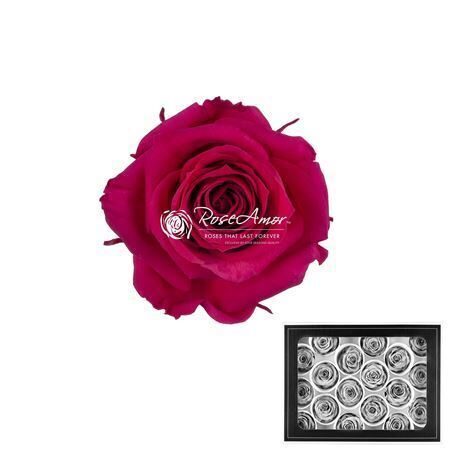 Komplekts 18 gb. R GR OV KLB H% Pres Xs Pin03