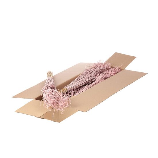 HUIS EN TUINDECO H% Curly Ting Ting (palm) 100pc Sb roz Misty/1 gb. bunte