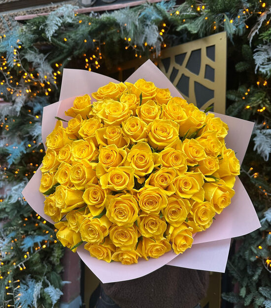 51 gb dzeltenas 50 cm 