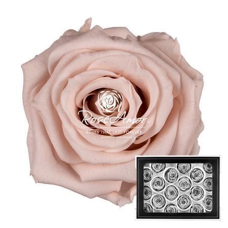 Komplekts 18 gb. R GR OV KLB H% Pres Xs Pin79