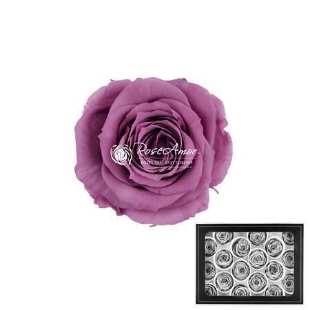  Komplekts 18 gb. R GR OV KLB H% Pres Xs Vio02