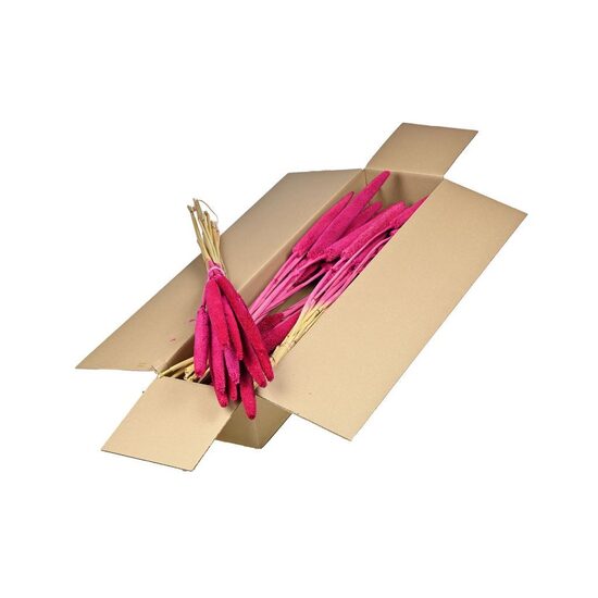 HUIS EN TUINDECO H% Babla Sb Cerise/ 1 gb. bunte