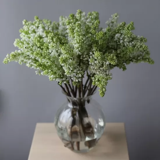 Sākot ar  15.04 Ceriņi ,cena par 1 gb