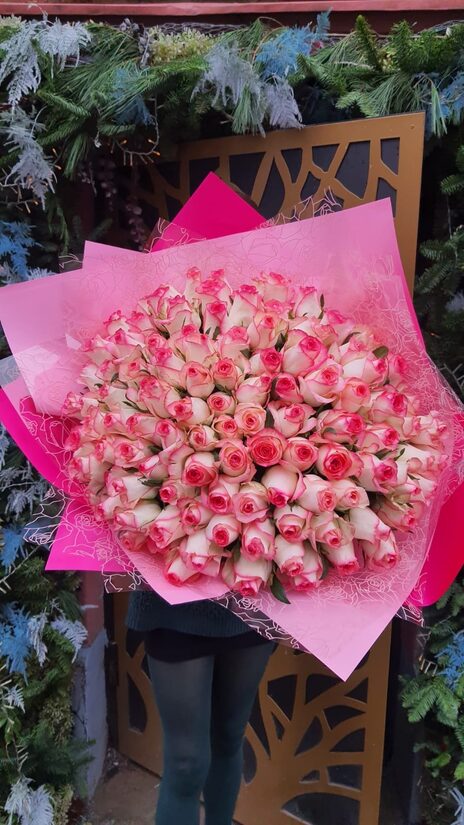 101 gb jumilia 40/50 cm 