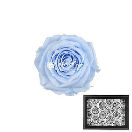 Komplekts 18 gb. R GR OV KLB H% Pres Xs Blu89