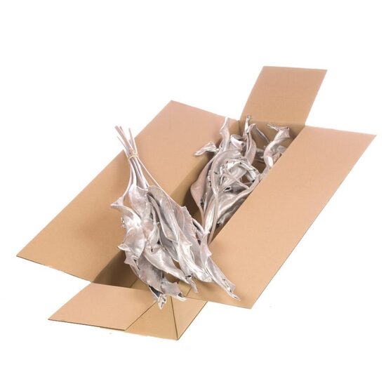 HUIS EN TUINDECO H% Strelitzia 10pc Sb Silver