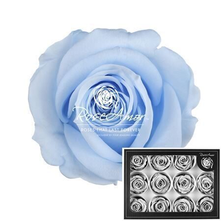 Kompl 12 gb.  R GR OV KLB H% Pres M Blu89