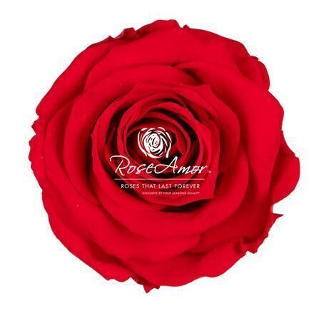 Komplekts 18 gb. R GR OV KLB H% Pres Xs Ora03