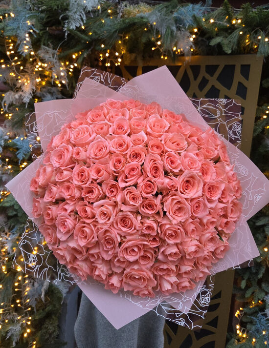 101 gb sankara 40/50 cm 