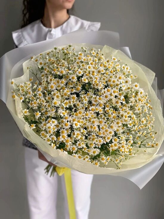 Pušķi 100 Euro - 200 Euro