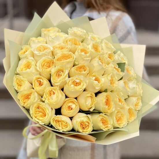 51 gb buttercup 40 cm 