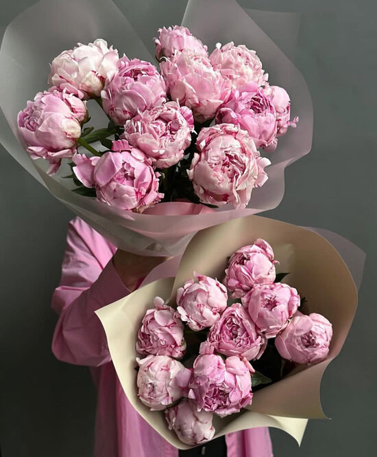 9 gb peonijas ar iepakojumu