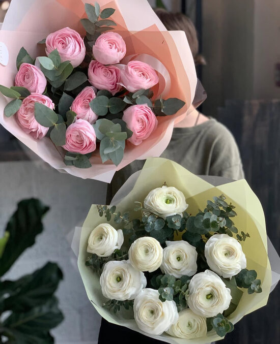 Karaliskie ranunkuļi Hanoi ( baltie)