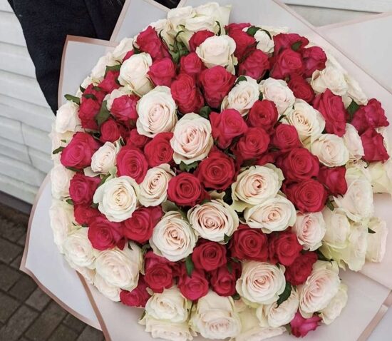 101 gb pink athena+ aveņu 40 cm 