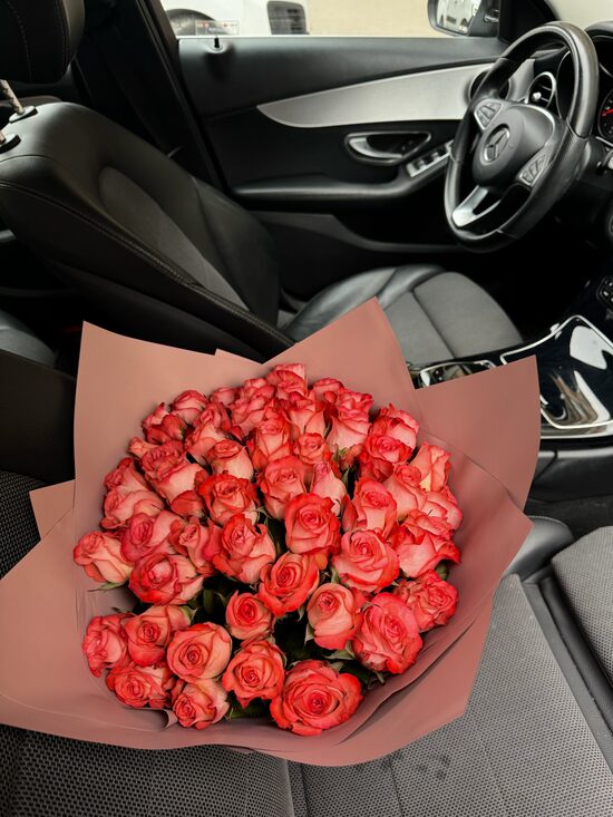 51 gb Helene 50 cm garas