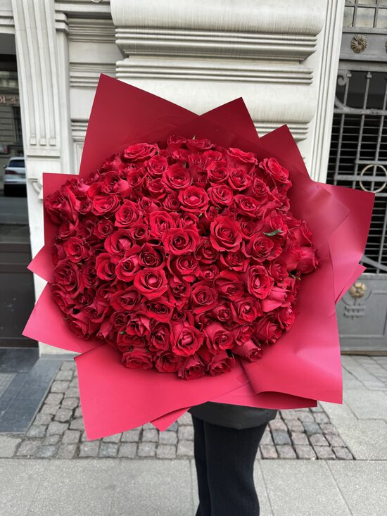 101 gb ever red 70 cm XL