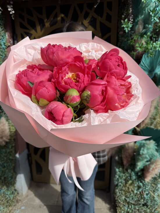 Peonijas Coral Sharm