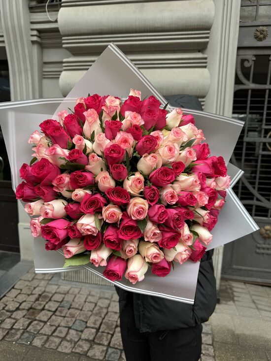 101 gb cerise+ jumilia 40 cm 