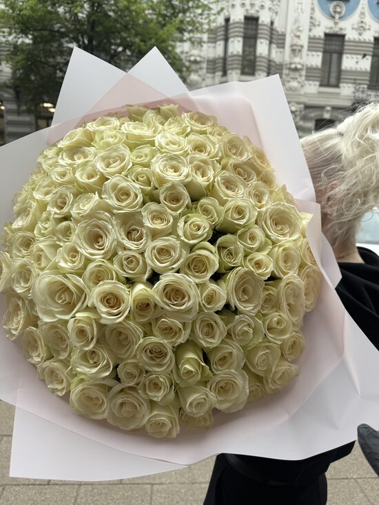 51 gb 70 cm Sbowstorm