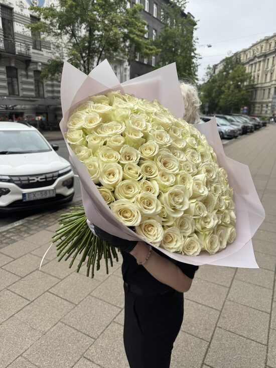 101 gb baltas 70 cm XL