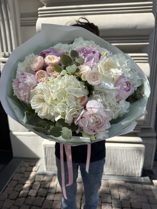 Sweet blush peony