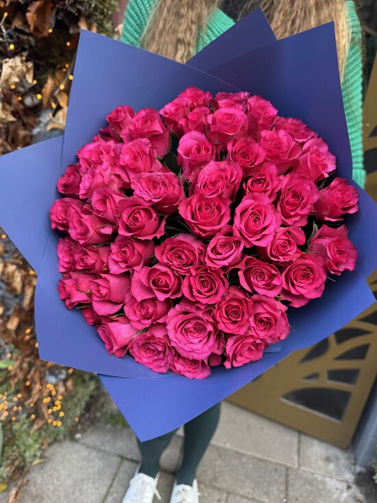 51 hot in blue 40 cm 