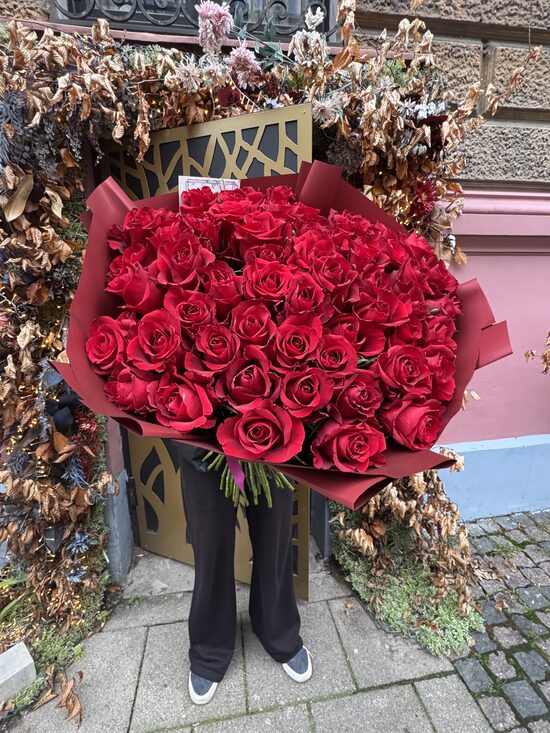 51 gb Ever red 70 cm XL